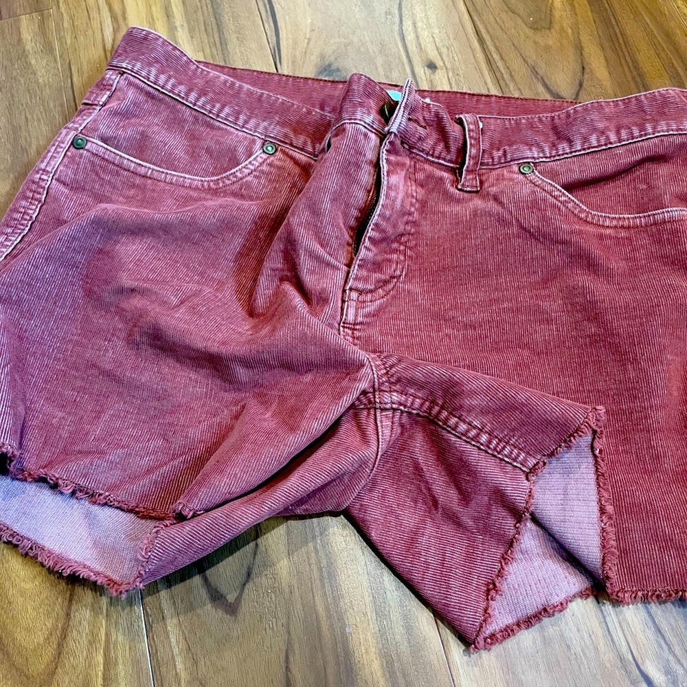 Carve designs oahu short size 8